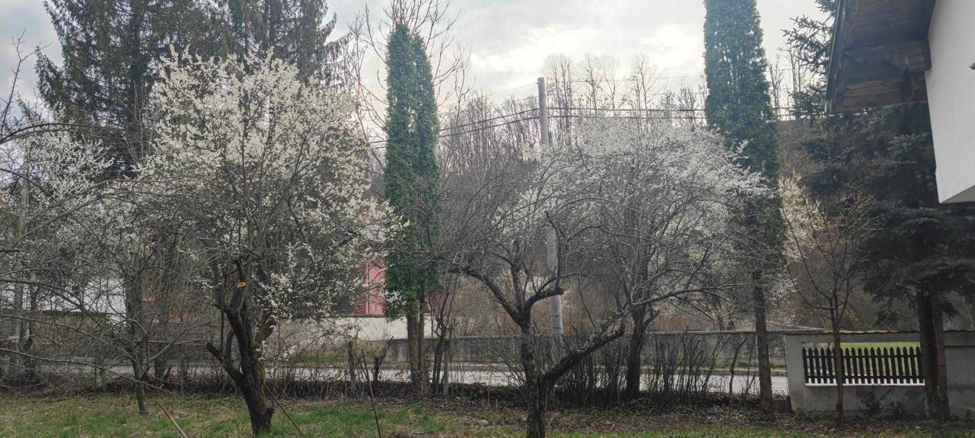 Хан Костина - Han Kostina Рибарица Экстерьер фото